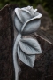 50-D_0956