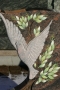 Ornamente (17) (Copy) (Copy).jpg